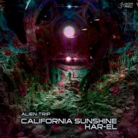 Artwork for Alien Trip by California Sunshine