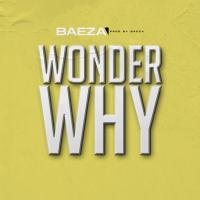 Artwork for Wonder Why by Baeza