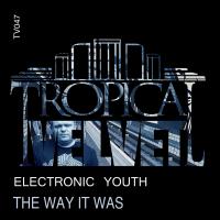 Artwork for The Way It Was (Filtered Mix) by Electronic Youth