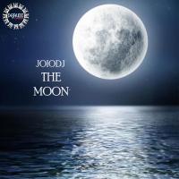 Artwork for In The Moon by JoioDJ