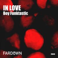 Artwork for In Love by Boy Funktastic