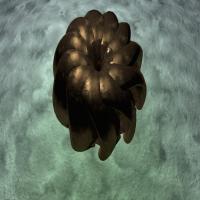 Artwork for Affection  by Giles Appleton