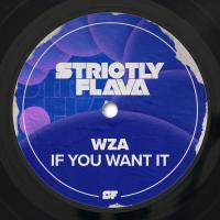 Artwork for If You Want It by WZA