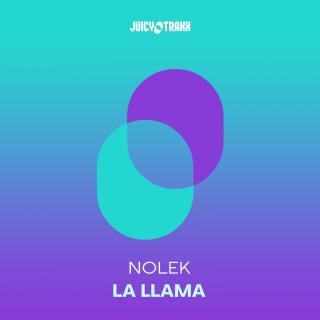Artwork for La Llama (Original Mix)