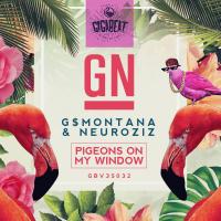 Artwork for Pigeons On My Window by GN