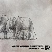 Artwork for Elephant EP by Alex Young