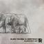 Artwork for Elephant (Original Mix)
