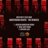 Artwork for Amsterdam Nights (The Remixes) by Oded Nir