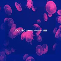 Artwork for Destination | The Squeeze by Soultec
