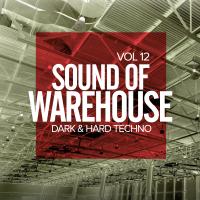 Artwork for Sound Of Warehouse, Vol.12: Dark & Hard Techno by Various Artists