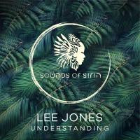 Artwork for Understanding by Lee Jones