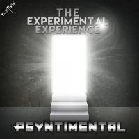 Artwork for The Experimental Experience by Psyntimental