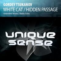 Artwork for White Cat / Hidden Passage by Gordey Tsukanov