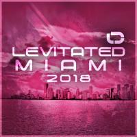 Artwork for Levitated Miami 2018 by Various Artists