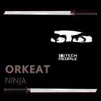 Artwork for Ninja by Orkeat