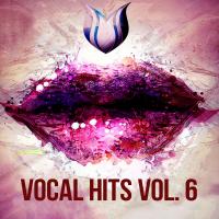 Artwork for Vocal Hits, Vol. 6 by Various Artists