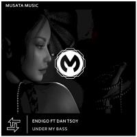 Artwork for Under My Bass by Endigo