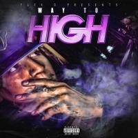 Artwork for Way To High by Flexo