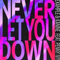 Artwork for Never Let You Down (feat. Penny Ivy) by Example