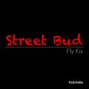 Artwork for Fly Kix
