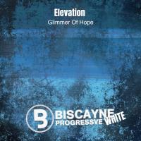 Artwork for Glimmer Of Hope by Elevation