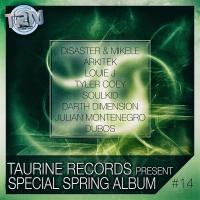 Artwork for Special Spring Album by Various Artists