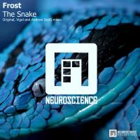 Artwork for The Snake by Frost