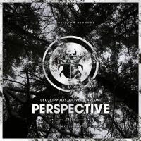 Artwork for Perspective by Leo Lippolis 