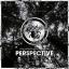 Artwork for Perspective (D-Unity Remix)