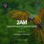 Artwork for 2AM (Original Mix)