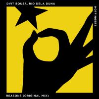 Artwork for Reasons by Dvit Bousa