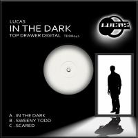 Artwork for In The Dark by Lucas