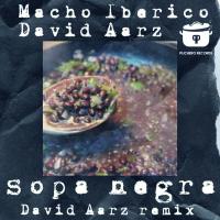 Artwork for Sopa Negra (David Aarz Remix) by David Aarz