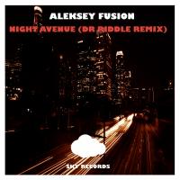 Artwork for Night Avenue (Dr. Riddle Remix) by Aleksey Fusion