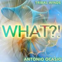 Artwork for What?! by Antonio Ocasio