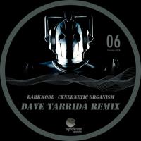 Artwork for Cybernetic Organism (Dave Tarrida Remix) by Darkmode