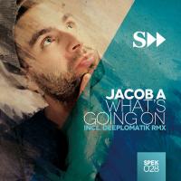 Artwork for What's Goin On (incl. Deeplomatik Remix) by Jacob A