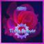 Artwork for Ti Me Forever