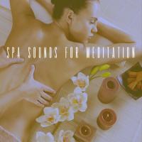 Artwork for Spa Sounds for Meditation by Musica Relajante