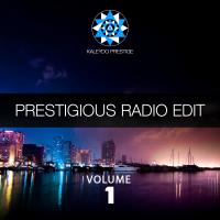 Artwork for Prestigious Radio Edit, Vol.1 by Various Artists