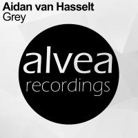 Artwork for Grey by Aidan van Hasselt