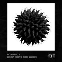 Artwork for Black Groovers, Vol.5 by Various Artists