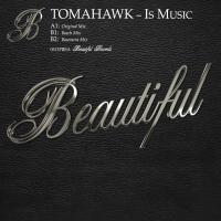 Artwork for Is Music by Tomahawk