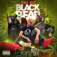 Artwork for Black Bear by Cali Jay