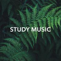 Artwork for Study Music by Rain For Deep Sleep