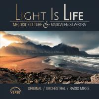 Artwork for Light Is Life by Melodic Culture