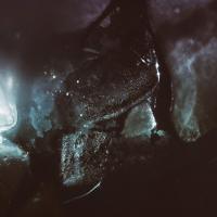 Artwork for Remnants by Son Lux