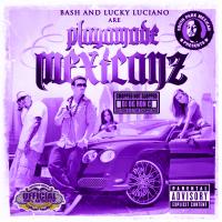 Artwork for Playamade Mexicanz (Chopped Not Slopped) by BABY BASH