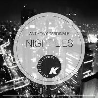 Artwork for Night Lies by Anthony Cardinale