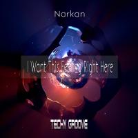 Artwork for I Want This Feeling Right Here by Narkan